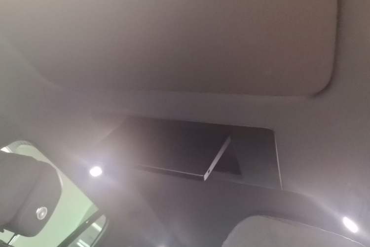 Used Li Auto L9 2024 Ultra Model Headliner