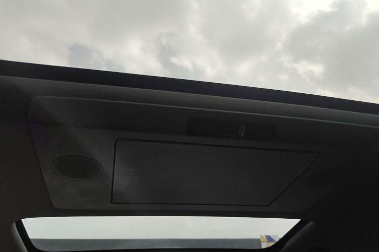 Used Li Auto L9 2024 Ultra Model Headliner
