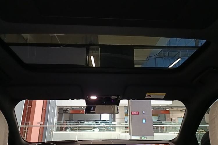 Used Li Auto L9 2024 Ultra Model Headliner