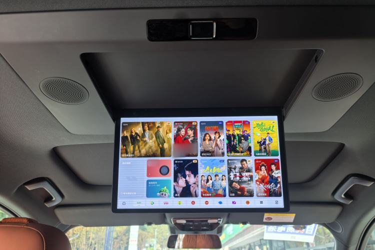 Used Li Auto L9 2024 Ultra Model Headliner