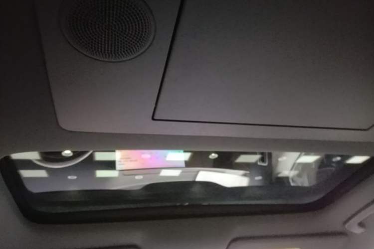 Used Li Auto L9 2024 Ultra Model Headliner