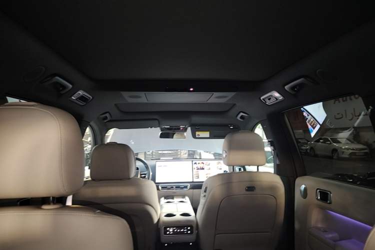 Used Li Auto L9 2024 Ultra Model Headliner