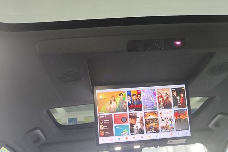 Used Li Auto L9 2024 Ultra Model Headliner