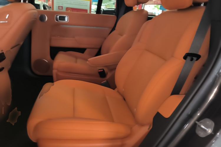 Used Li Auto L9 2024 Ultra Model Left Rear Seat