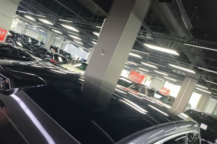 Used Li Auto L9 2024 Ultra Model Roof