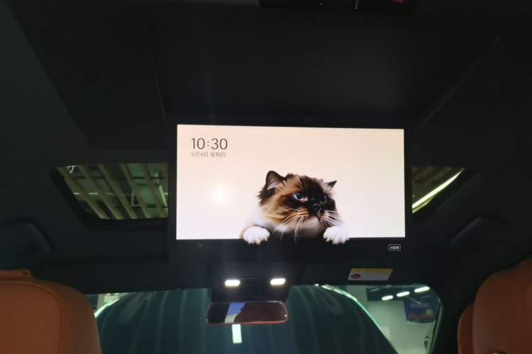 Used Li Auto L9 2024 Ultra Model Headliner