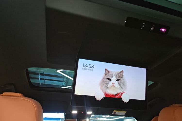 Used Li Auto L9 2024 Ultra Model Headliner
