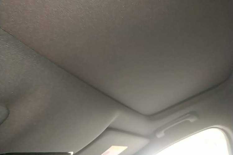Used Li Auto L9 2024 Ultra Model Headliner