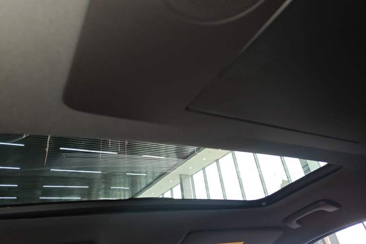 Used Li Auto L9 2024 Ultra Model Headliner