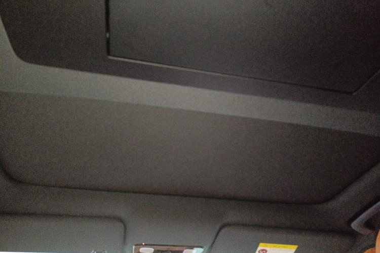 Used Li Auto L9 2024 Ultra Model Headliner
