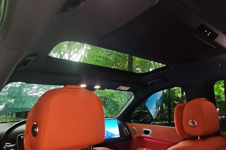 Used Li Auto L9 2024 Pro Model Headliner