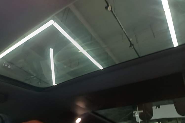 Used Li Auto L9 2024 Ultra Model Headliner