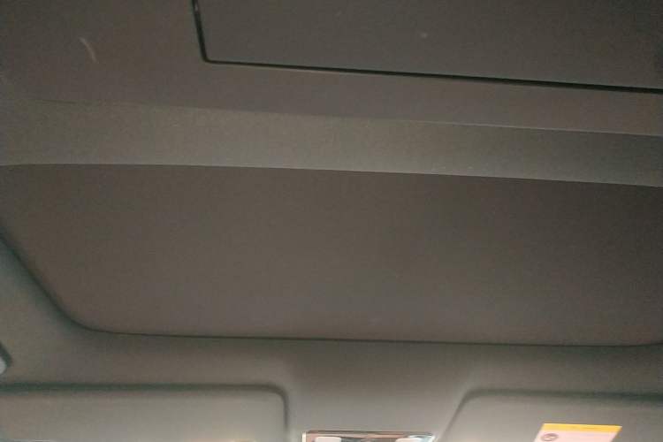 Used Li Auto L9 2024 Ultra Model Headliner