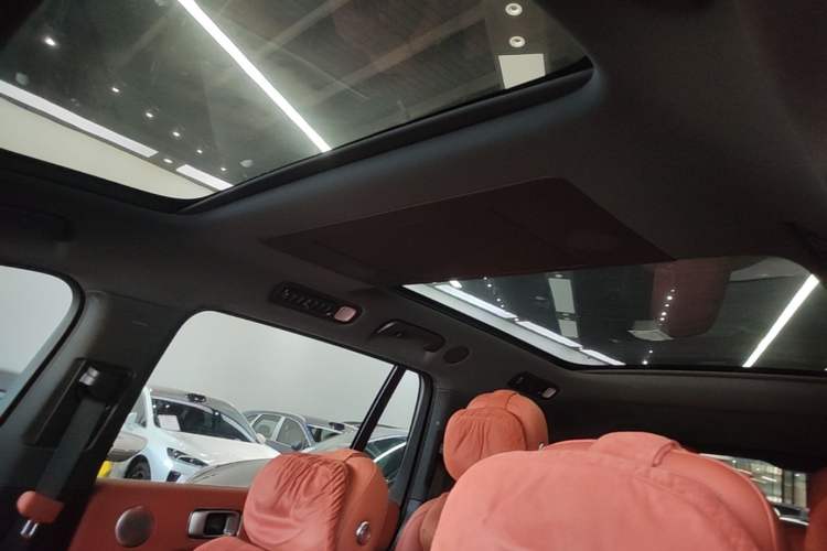 Used Li Auto L9 2024 Pro Model Headliner