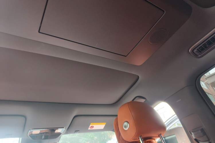 Used Li Auto L9 2024 Ultra Model Headliner