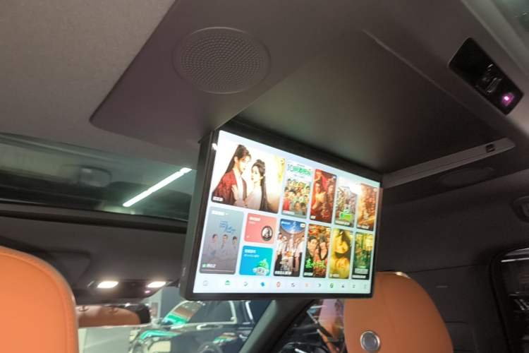 Used Li Auto L9 2024 Ultra Model Headliner