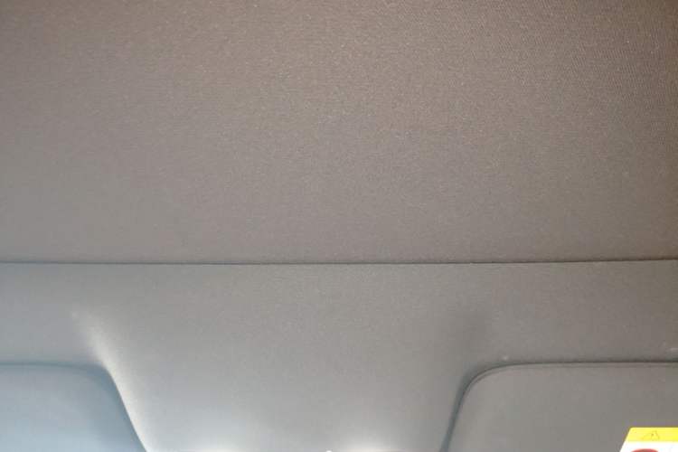 Used Li Auto L9 2024 Ultra Model Headliner