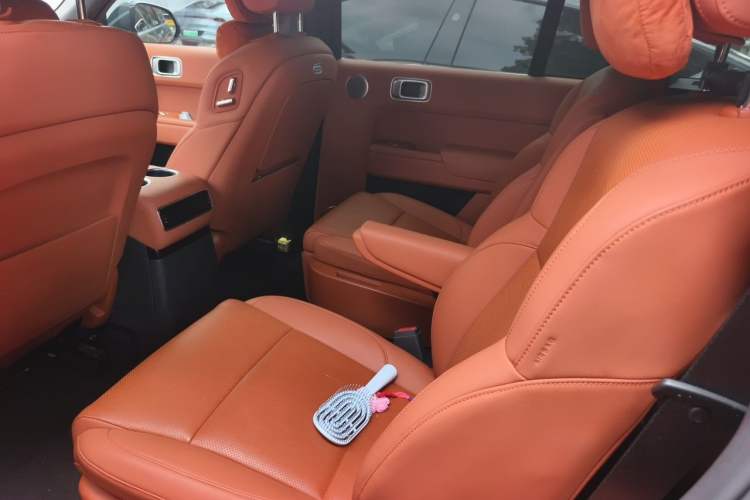 Used Li Auto L9 2024 Ultra Model Left Rear Seat