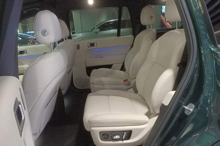 Used Li Auto L9 2024 Ultra Model Left Rear Seat