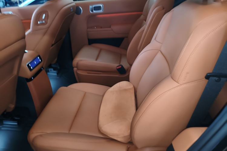 Used Li Auto L9 2024 Ultra Model Left Rear Seat