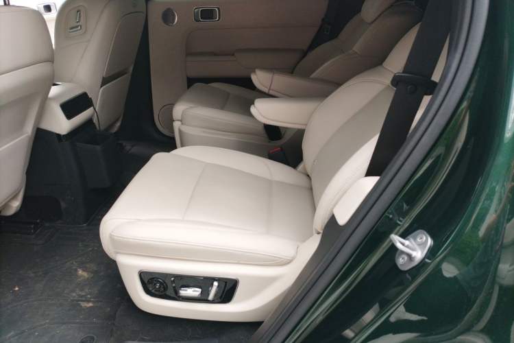 Used Li Auto L9 2024 Ultra Model Left Rear Seat