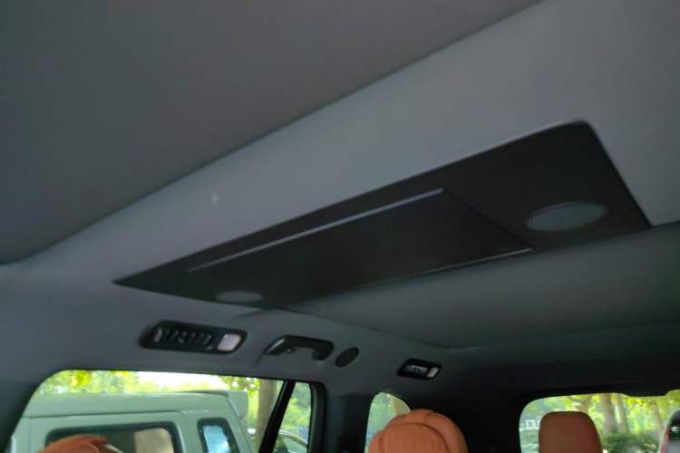 Used Li Auto L9 2024 Ultra Model Headliner