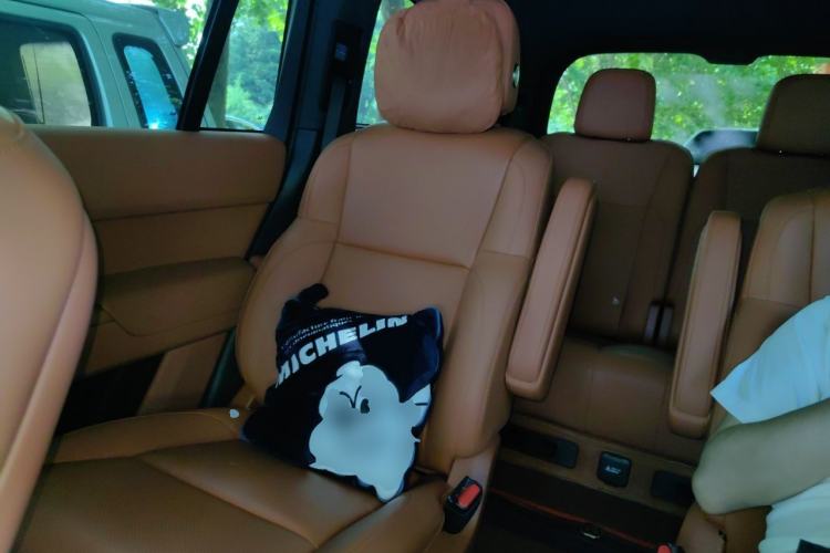 Used Li Auto L9 2024 Ultra Model Left Rear Seat