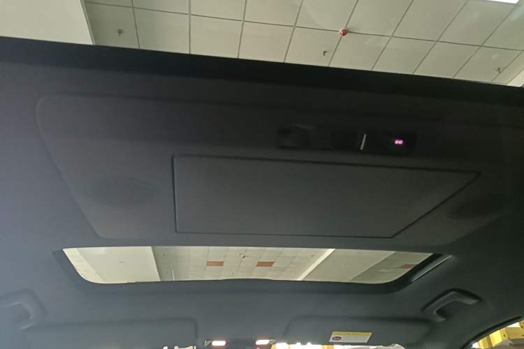 Used Li Auto L9 2024 Ultra Model Headliner