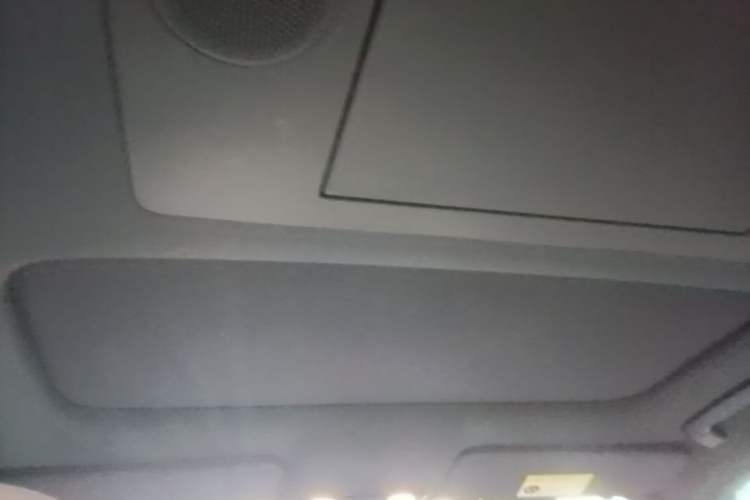 Used Li Auto L9 2024 Ultra Model Headliner