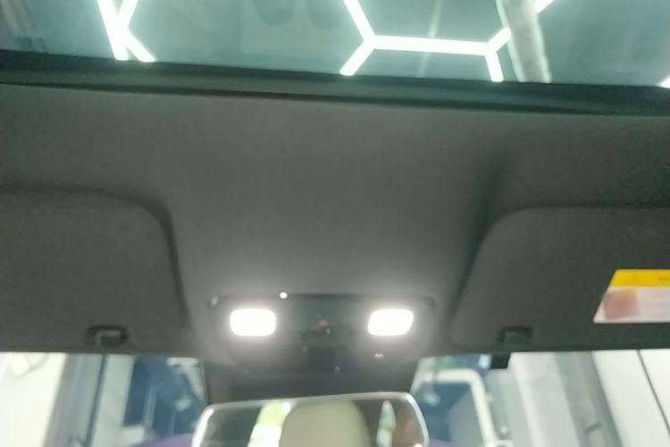 Used Li Auto L9 2024 Pro Model Headliner