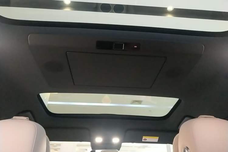 Used Li Auto L9 2024 Ultra Model Headliner