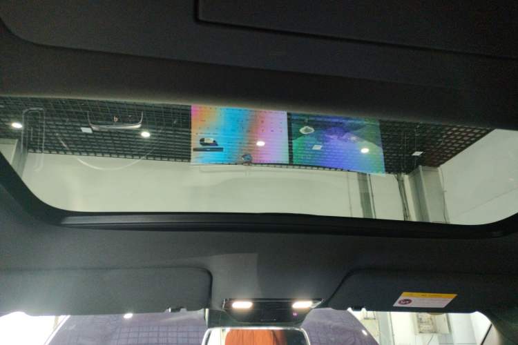 Used Li Auto L9 2024 Ultra Model Headliner