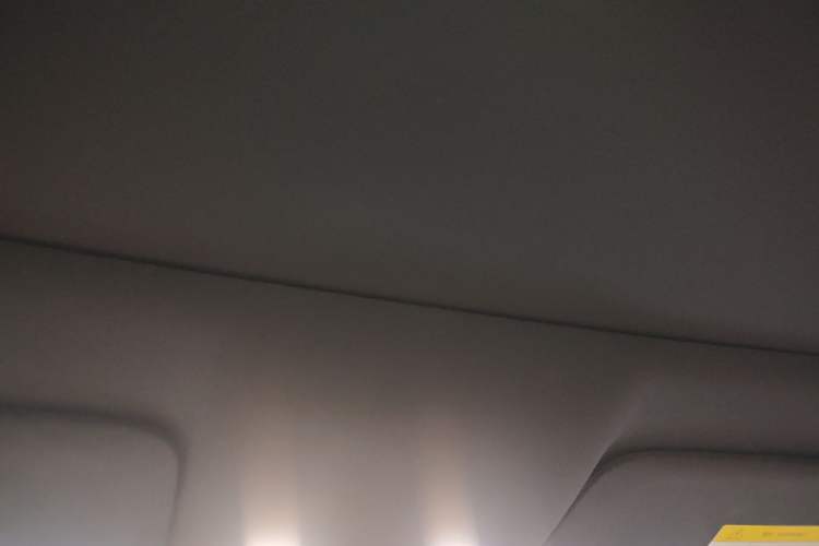 Used Li Auto L9 2024 Ultra Model Headliner