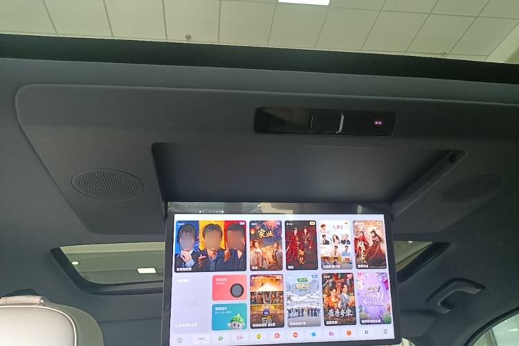 Used Li Auto L9 2024 Ultra Model Headliner