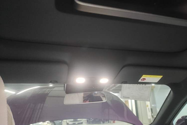 Used Li Auto L9 2024 Ultra Model Headliner