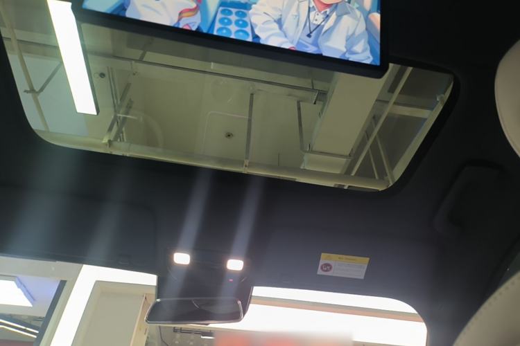 Used Li Auto L9 2024 Ultra Model Headliner