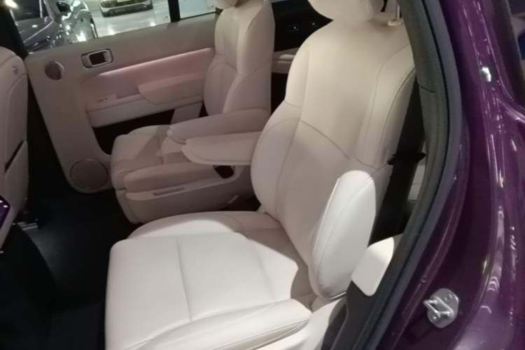 Used Li Auto L9 2024 Ultra Model Left Rear Seat