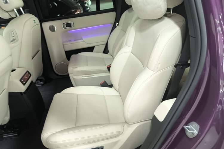 Used Li Auto L9 2024 Ultra Model Left Rear Seat
