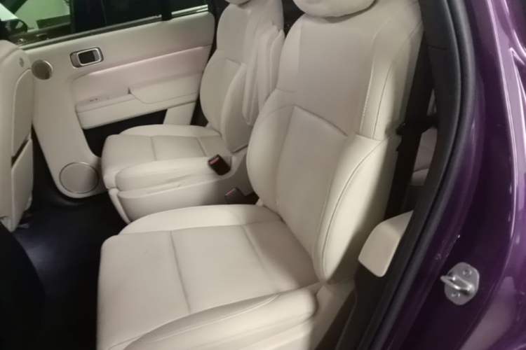 Used Li Auto L9 2024 Ultra Model Left Rear Seat