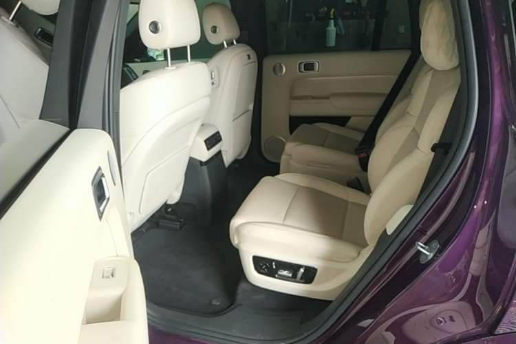 Used Li Auto L9 2024 Pro Model Left Rear Seat