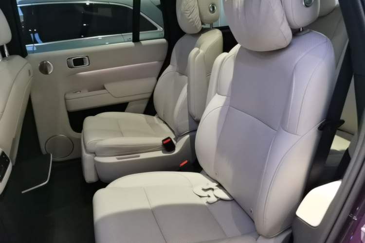 Used Li Auto L9 2024 Ultra Model Left Rear Seat