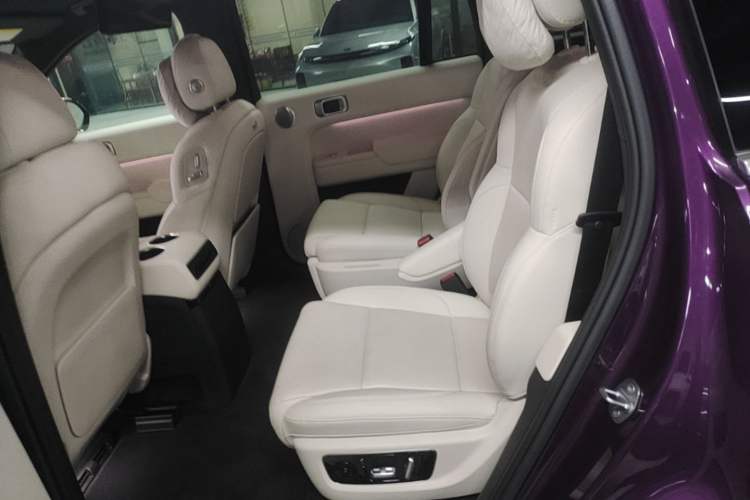 Used Li Auto L9 2024 Ultra Model Left Rear Seat