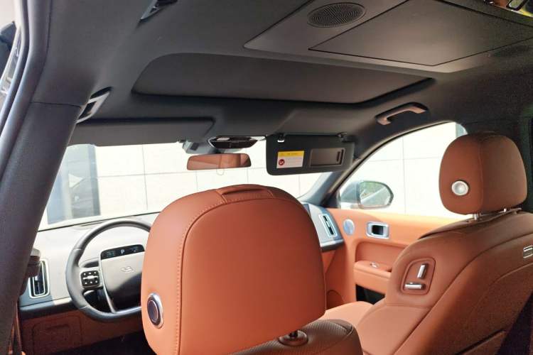 Used Li Auto L9 2024 Ultra Model Headliner