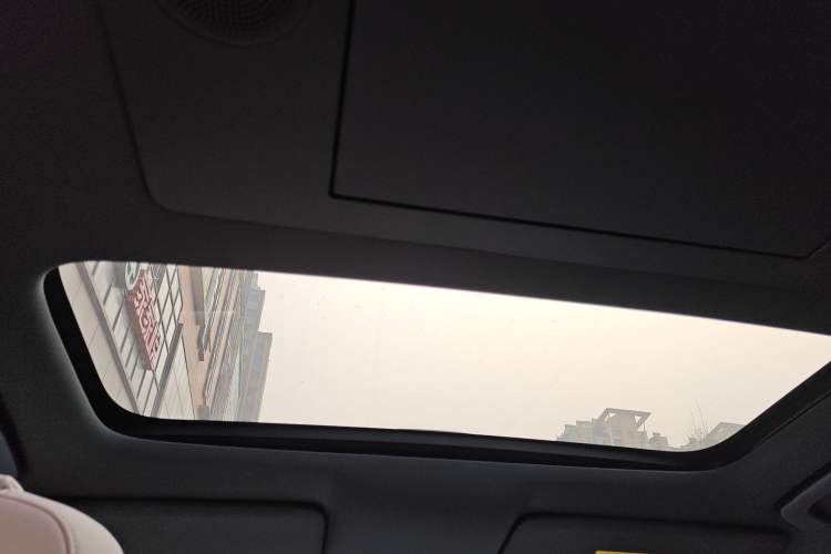 Used Li Auto L9 2024 Ultra Model Headliner