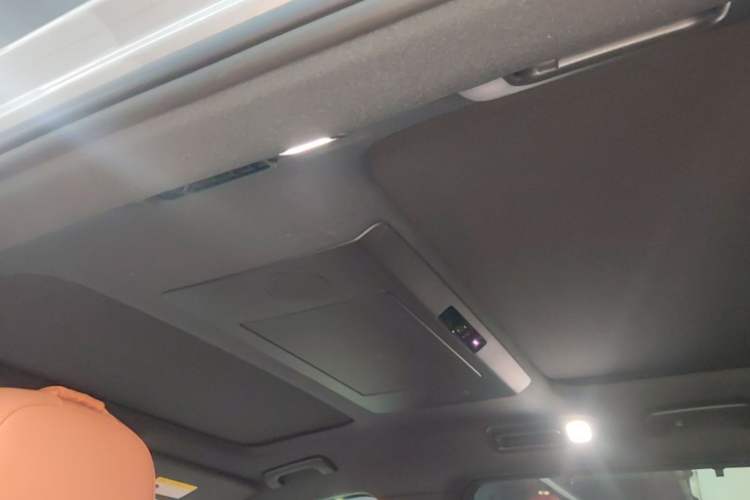 Used Li Auto L9 2024 Ultra Model Headliner