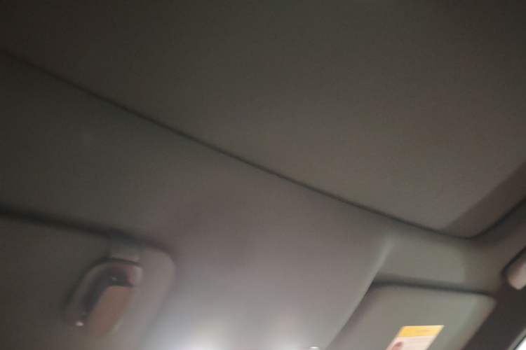 Used Li Auto L9 2024 Ultra Model Headliner
