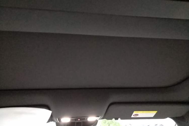 Used Li Auto L9 2024 Ultra Model Headliner