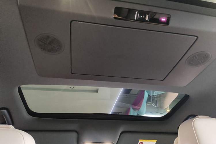 Used Li Auto L9 2024 Ultra Model Headliner