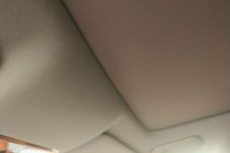 Used Li Auto L9 2024 Ultra Model Headliner