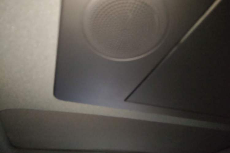 Used Li Auto L9 2024 Ultra Model Headliner